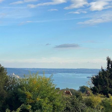 La Garçonniérre del Lago Maggiore Nebbiuno Exterior foto