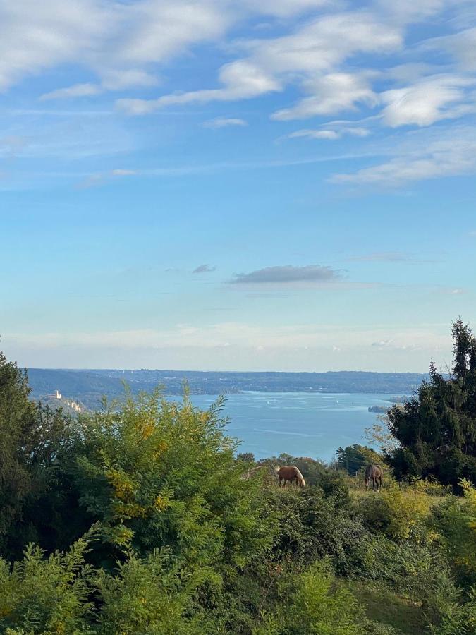La Garçonniérre del Lago Maggiore Nebbiuno Exterior foto